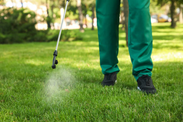 Pest Control for Restaurants in Matteson, IL