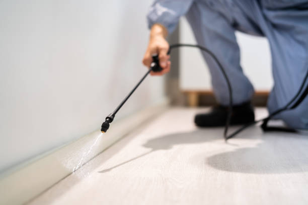 Pest Control Cost in Matteson, IL