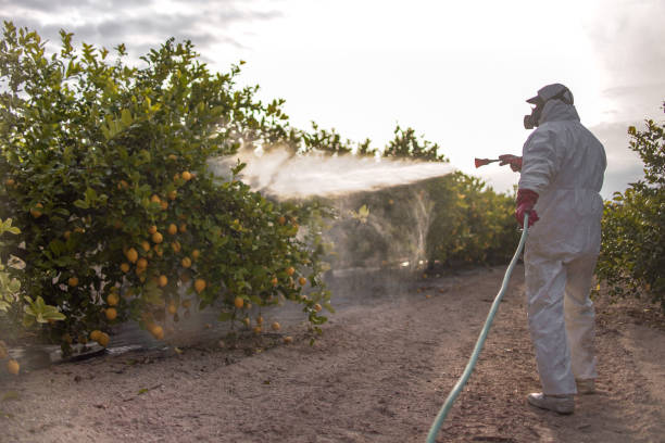 Best Pest Control Near Me in Matteson, IL